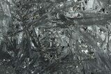 Polished Reticulated Hematite Slab - Western Australia #208217-1
